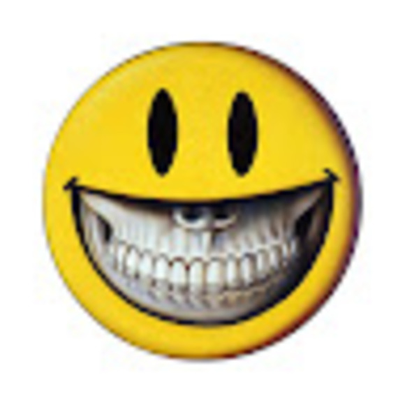 Meet your Posher, Brody - Picture 1 of 1